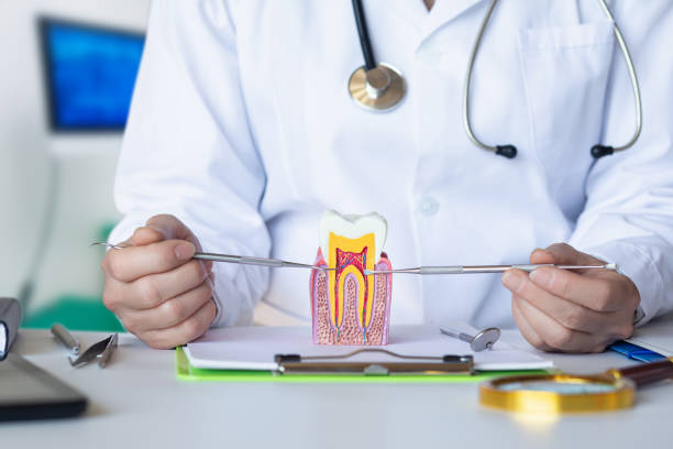 Best Orthodontic Emergency Dentist in North Vernon, IN